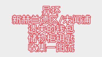 异环 新赫兰德区/未闻浦 遗失的钱包遗失的储物柜钥匙收集一图流