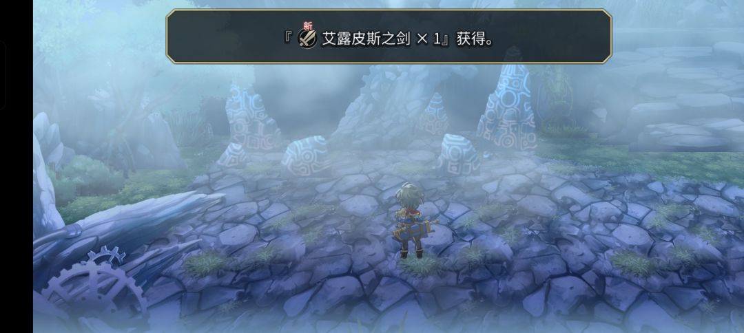 终于希望武全到手了 2