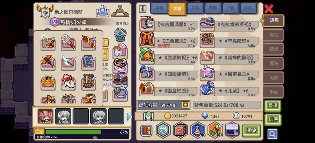 求大佬配装 3