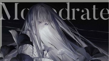 ark的睡前电台ep7.3 音乐语言的阐释者