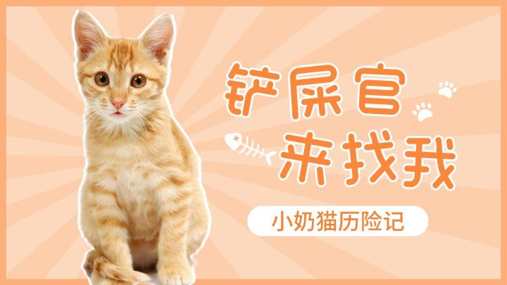 萌萌哒！小奶猫历险记截图