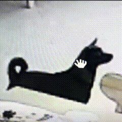 蛮子二觉后,不平衡的声音咋一下都不见了截图