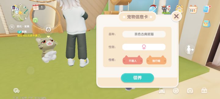 偶遇两只喜欢的小猫截图