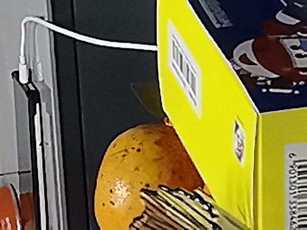 动态图片 15