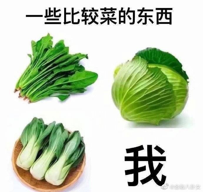 散人求个活跃帮派截图