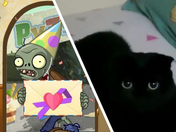 【来信】来自黑猫的生日祝福！