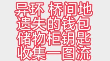 异环 桥间地 遗失的钱包遗失的储物柜钥匙收集一图流
