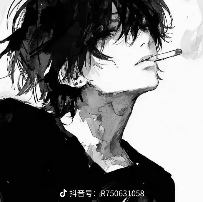 动态图片 10
