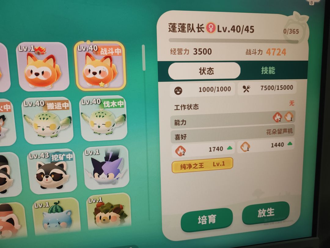 动态图片 5