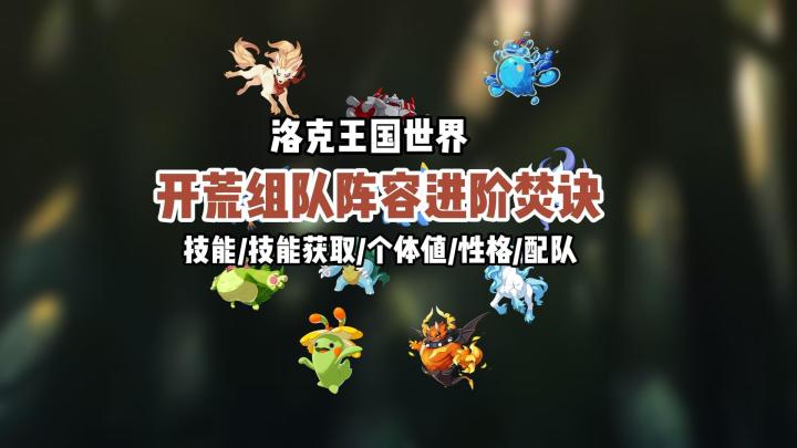 (洛王)开荒组队阵容进价焚诀 技能/技能获取/个体值/性格/配队截图