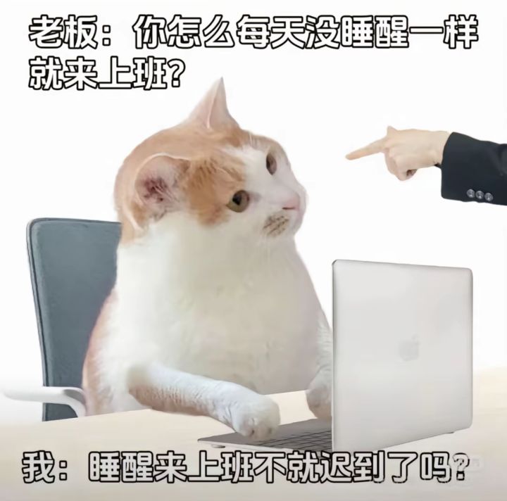 暑期终于要结束了截图