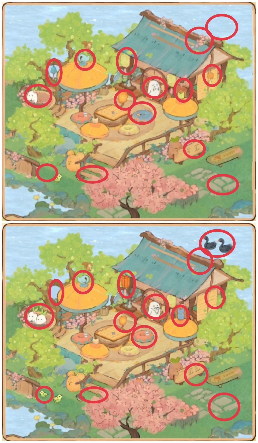 【萝眼金睛·第三期】已完结 3