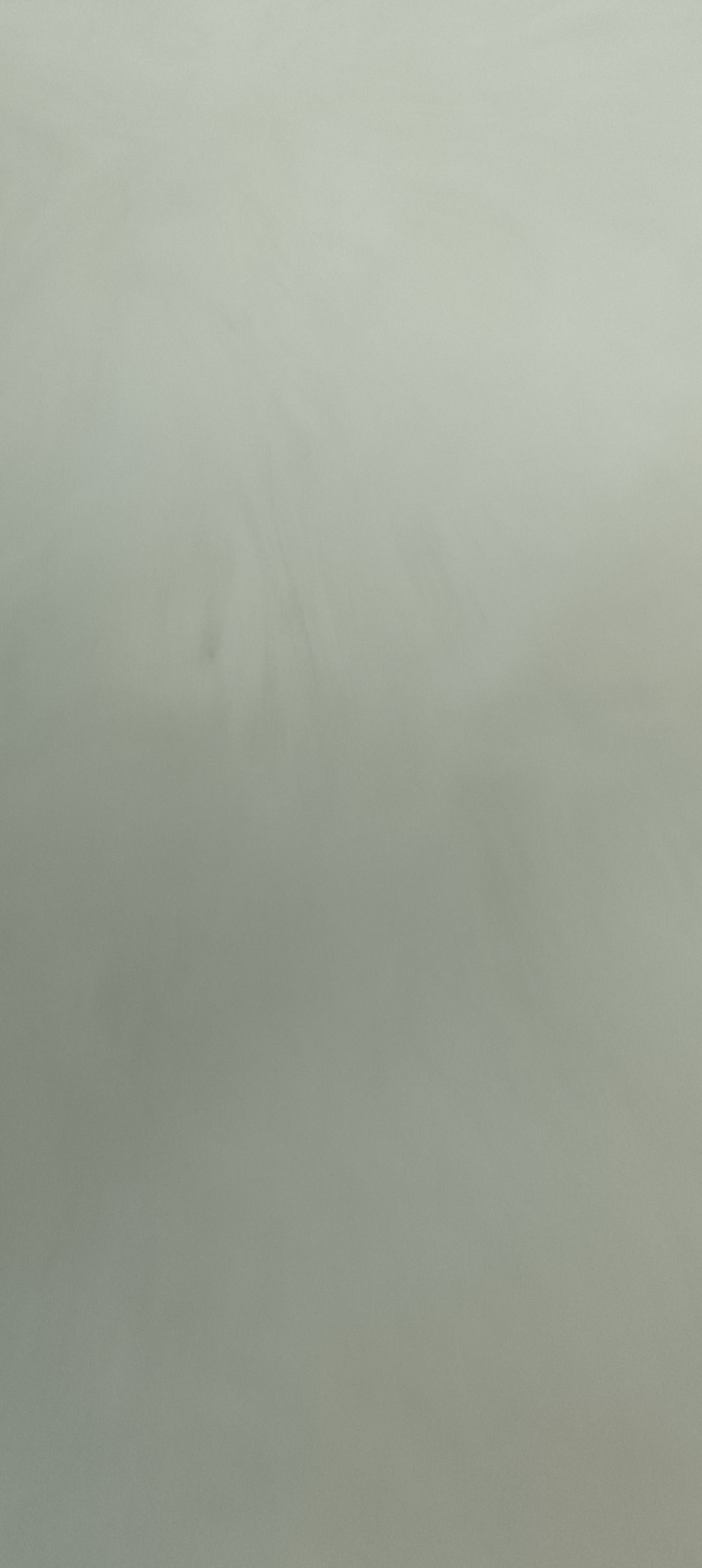 动态图片 4