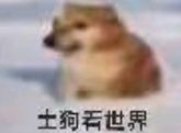 我说图18怎么没影兽,原来图16的都没打 3