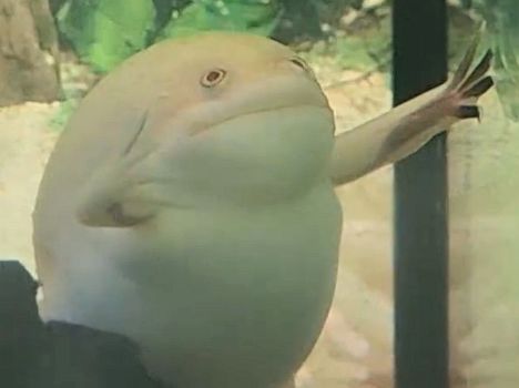 活动快截止了,准备画个牢底的同人 1