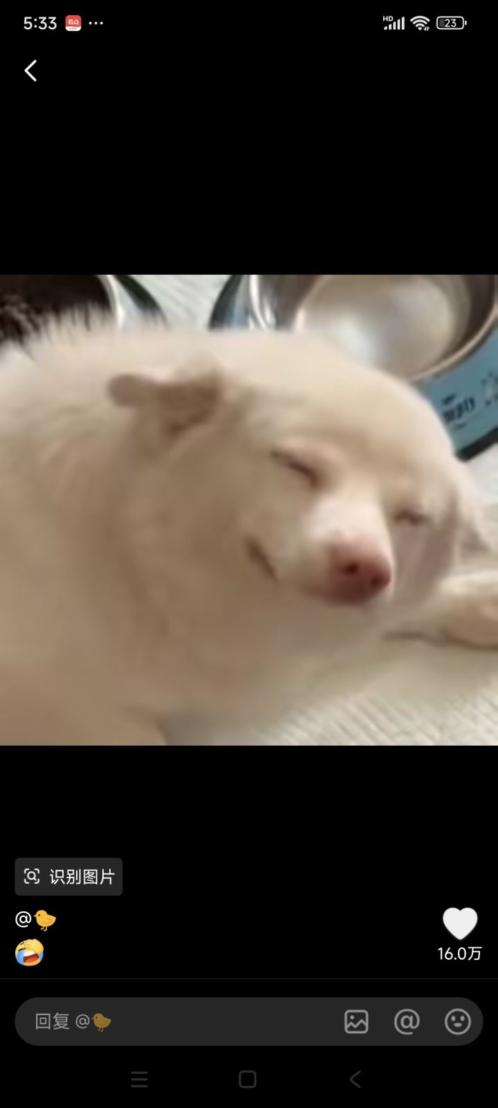 那么好的游戏希望能长久下去截图