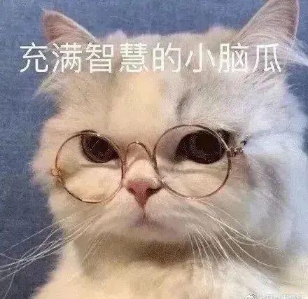 个人建议 1