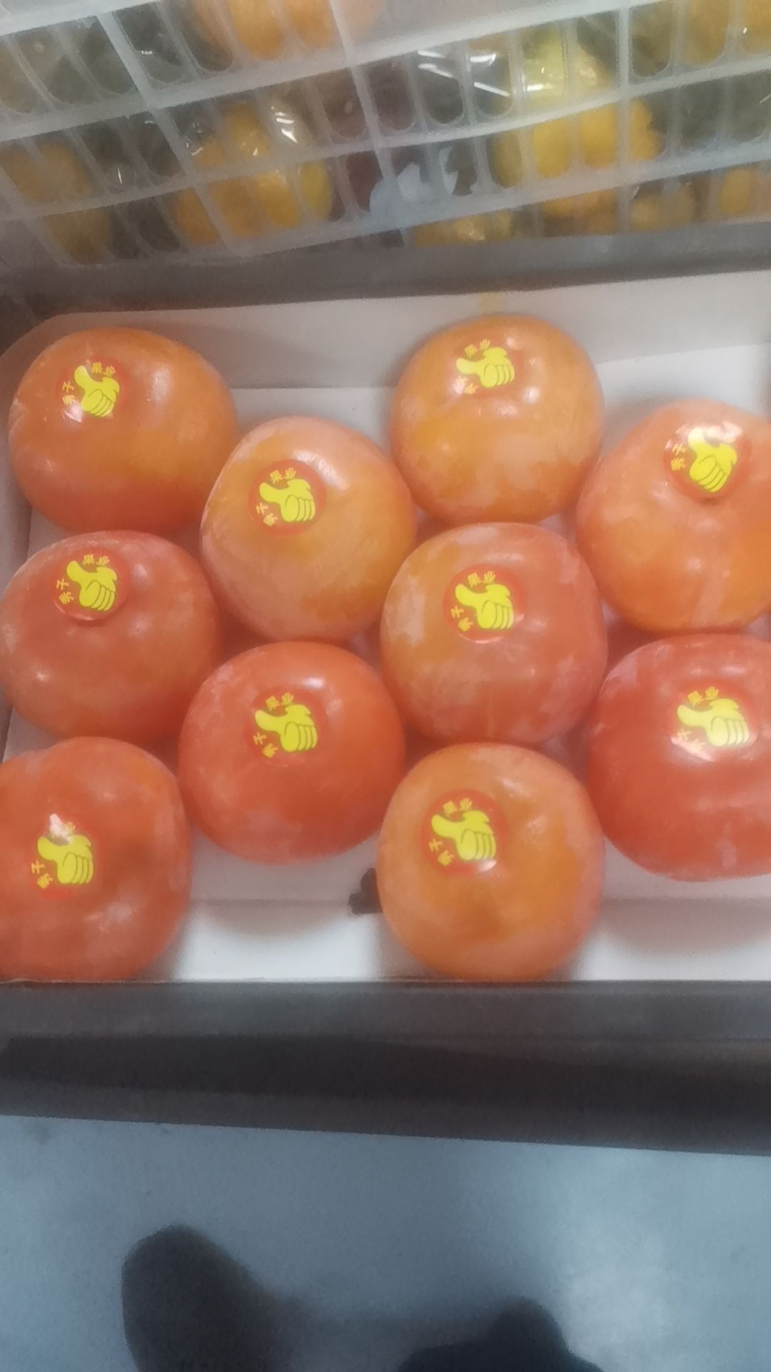 断线重连 1