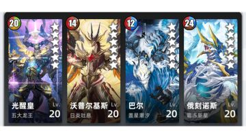 分享～湮灭龙王纯火队！