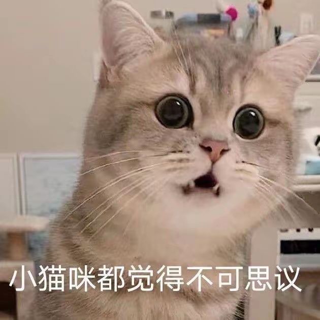 追加招募 1