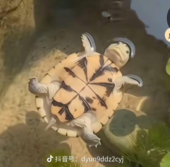 ……截图