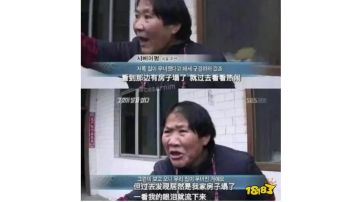 黑金会员车强度野榜（面向新手）