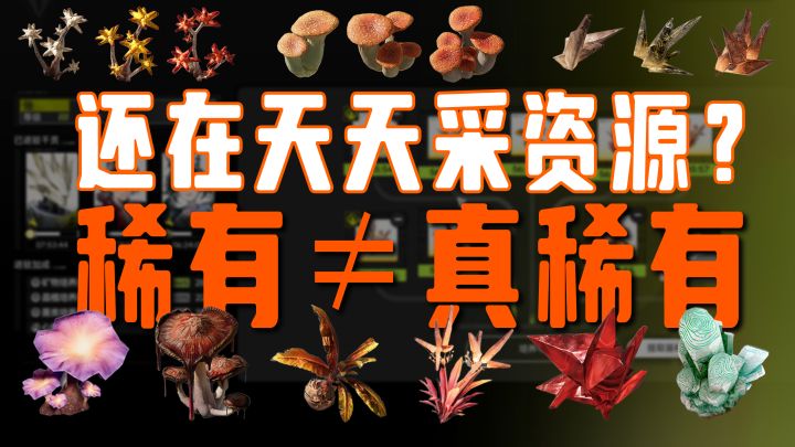 【终末地】稀有资源≠真稀有！跑一轮+种植就能实现资源自由！截图