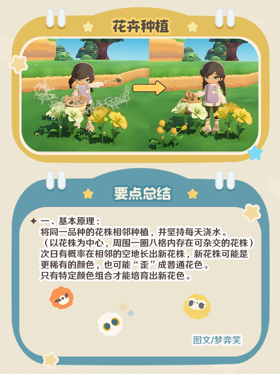 「星布谷地」异色花要点总结 2