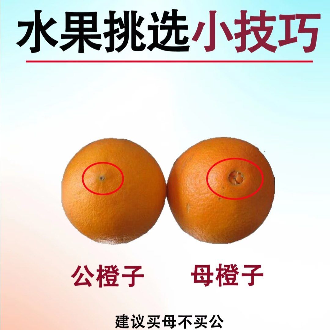 🌟青年大学习|水果挑选小技巧🌟 3