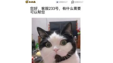 【幻境摆烂记录】Week2，21621