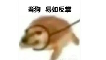 工作攻略（持续更新）