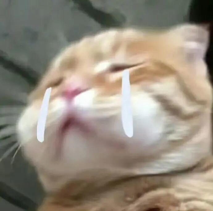 我求求了,我真的不会玩扫雷 2