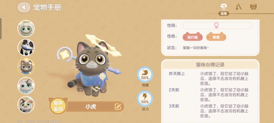 家里所有的猫都不喜欢喂食器怎么办 3