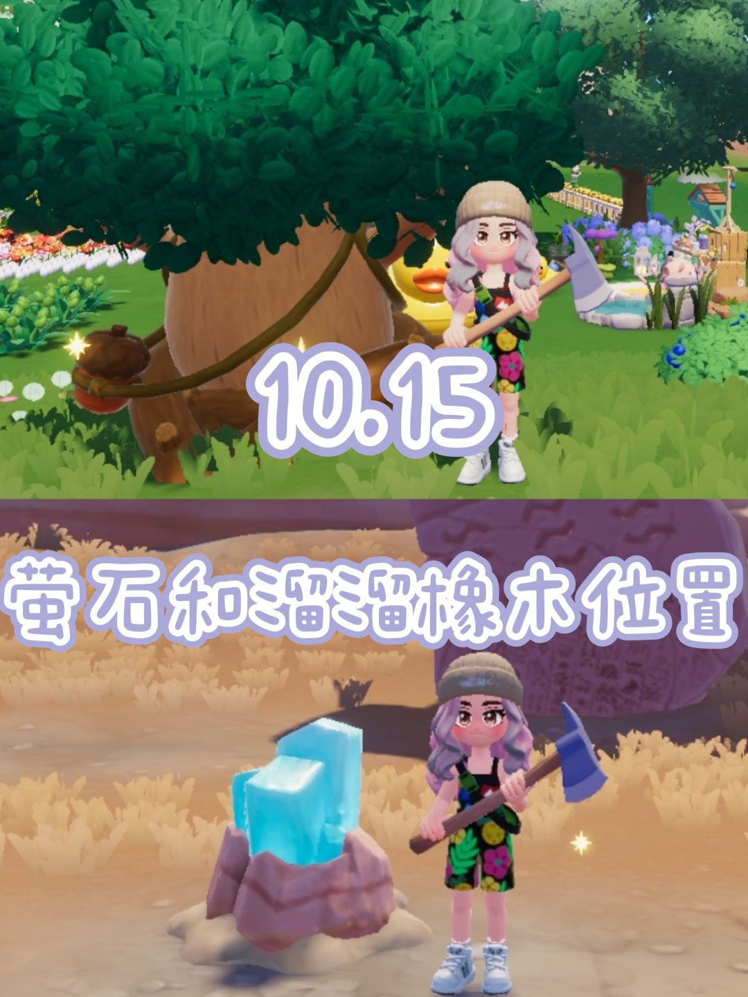 10.15 今日萤石和溜溜橡木位置 1