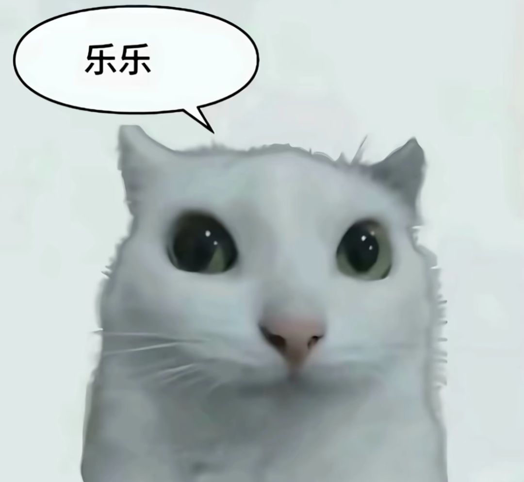 20拿下 2