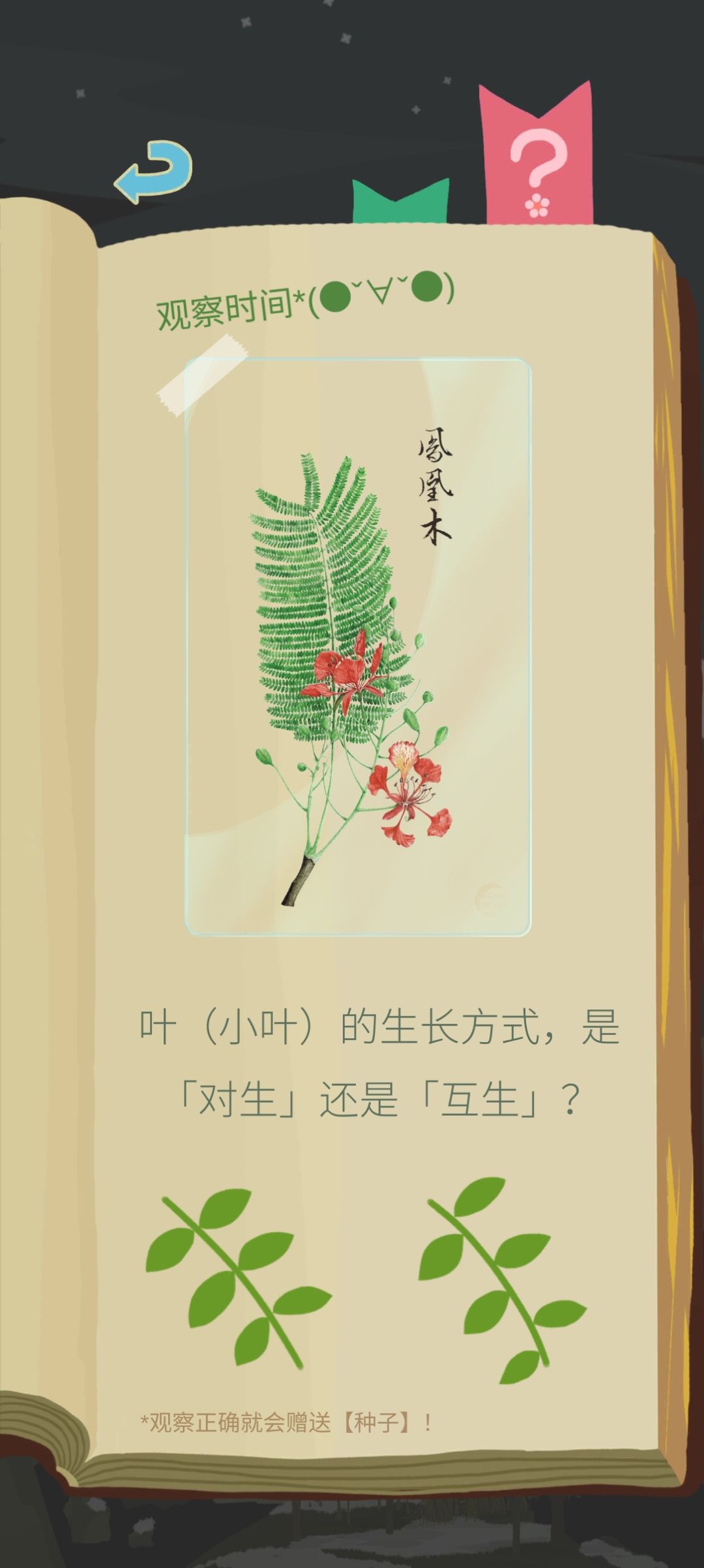 我寻思着我山头也妹有凤凰木啊? 1