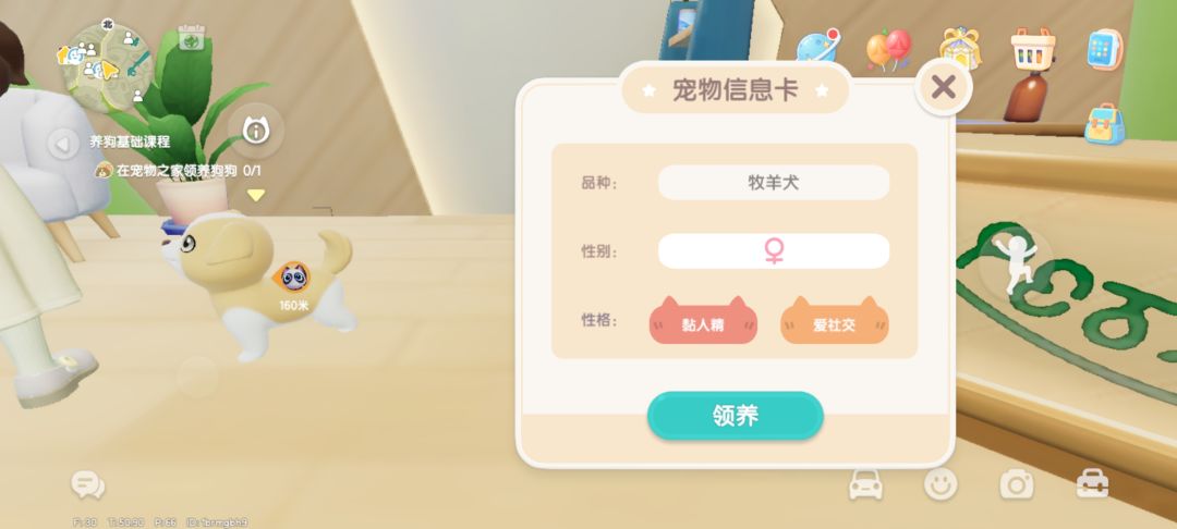 今天的小狗狗 1