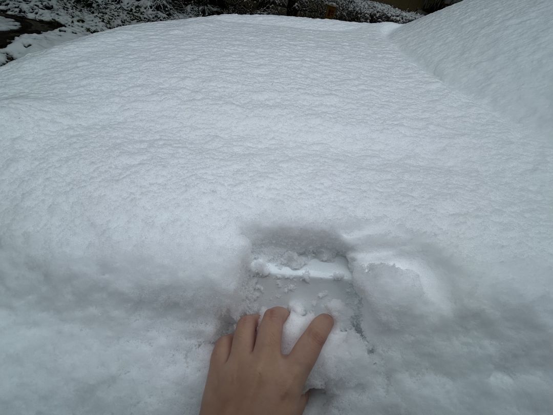 雪球大作战手把手教你守家流 1