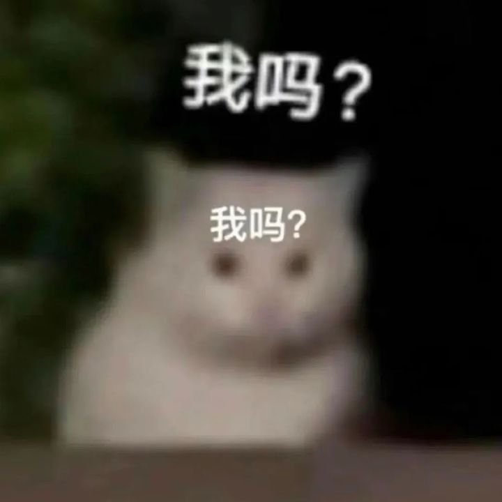 宝藏游戏又又又送皮肤啦截图