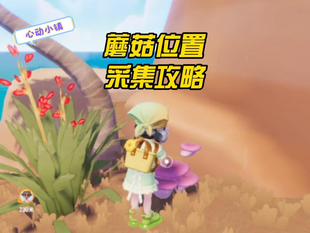 心动小镇：5种蘑菇位置采集攻略！截图