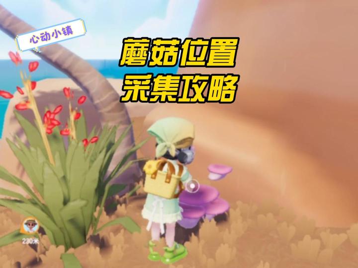 心动小镇：5种蘑菇位置采集攻略！截图
