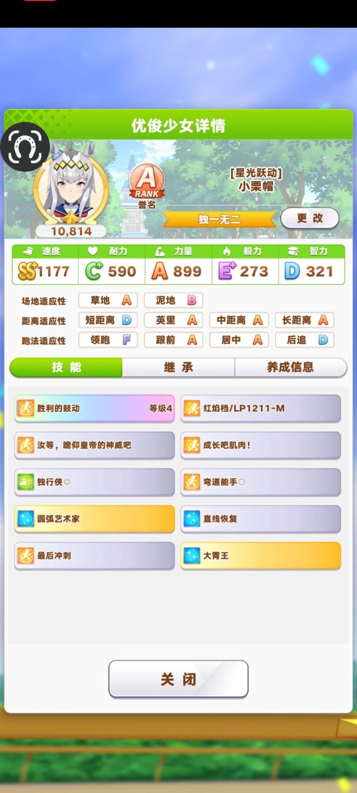 这只小栗帽金牛杯大赛能用吗?截图