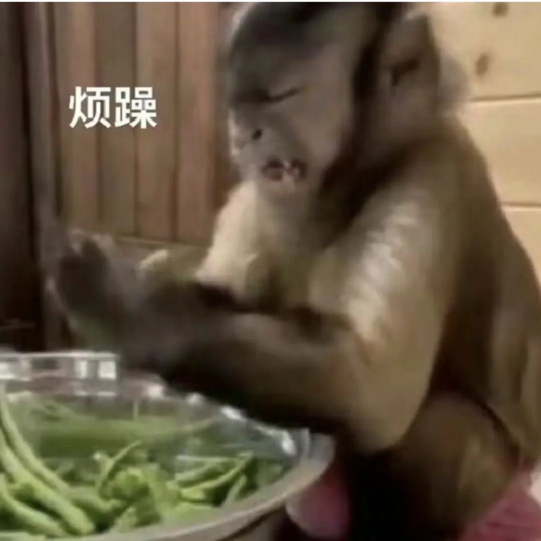 奇遇卡这次抽不够咋办 1