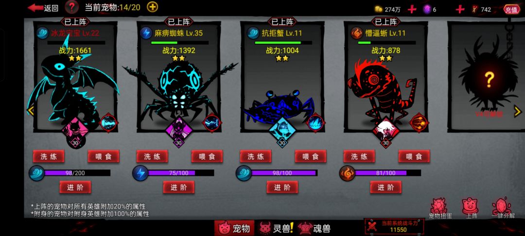 除了红宠要养,剩下的金宠要养谁 3