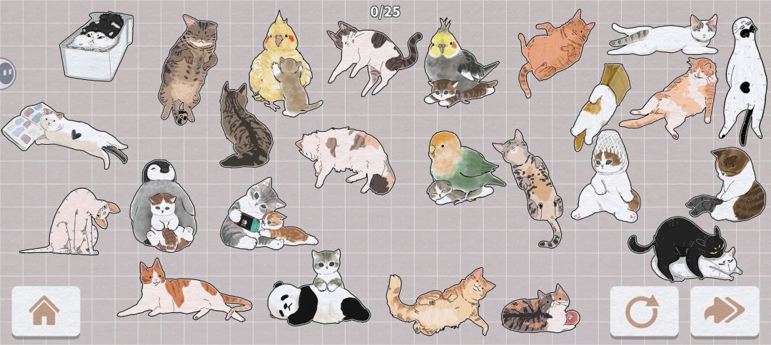 猫的完成展示图4 4