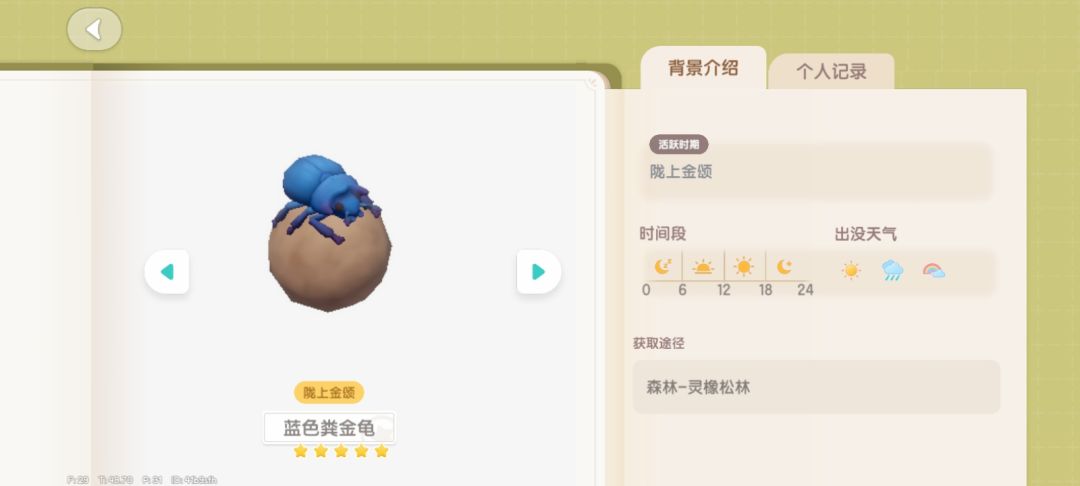 粪金龟位置＋事件概述 3