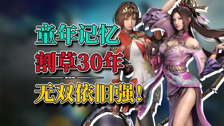 你才是真正的三国无双！《真三国无双 天下》到底怎么样？截图