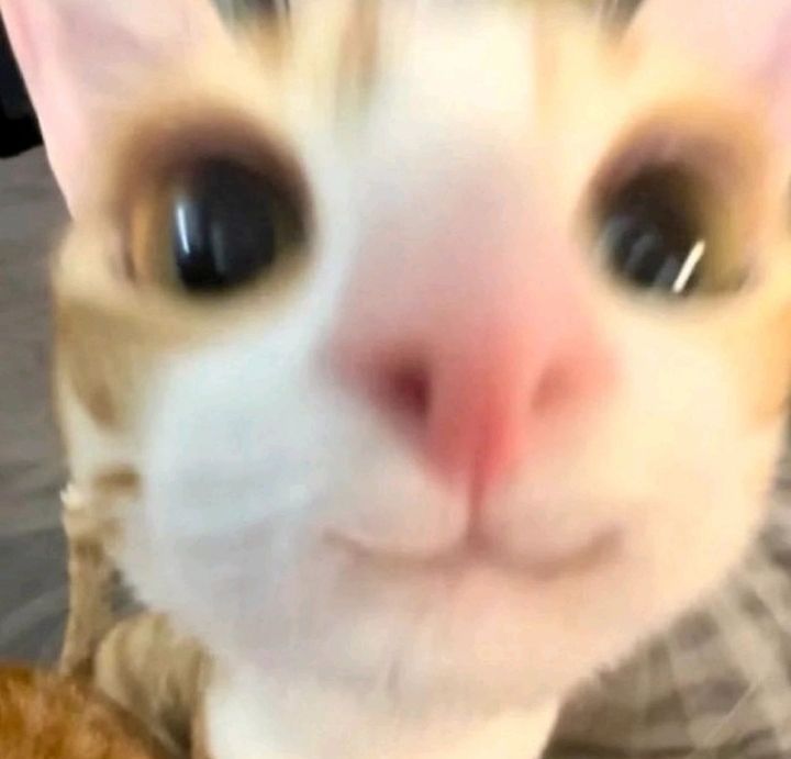 求解答 1