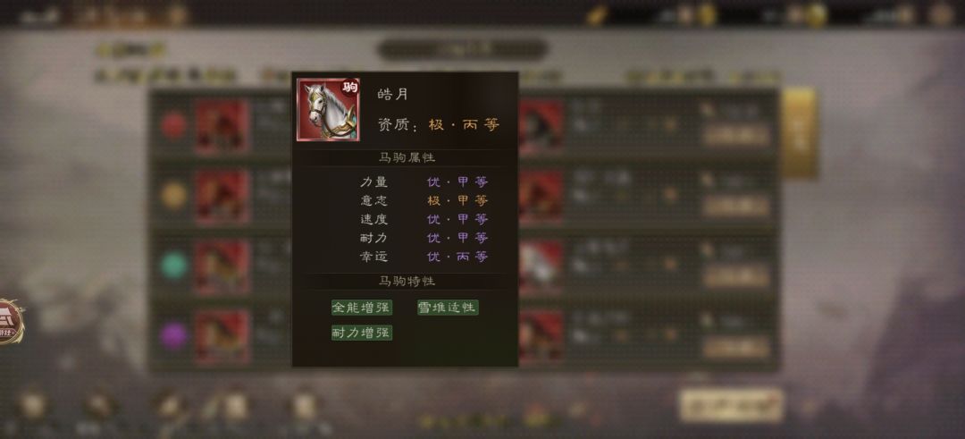 12月28日赛马前三预测 1