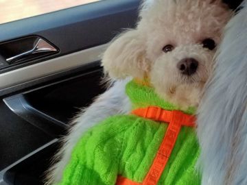 归离九阙2023版本最新内购推荐及转职推荐